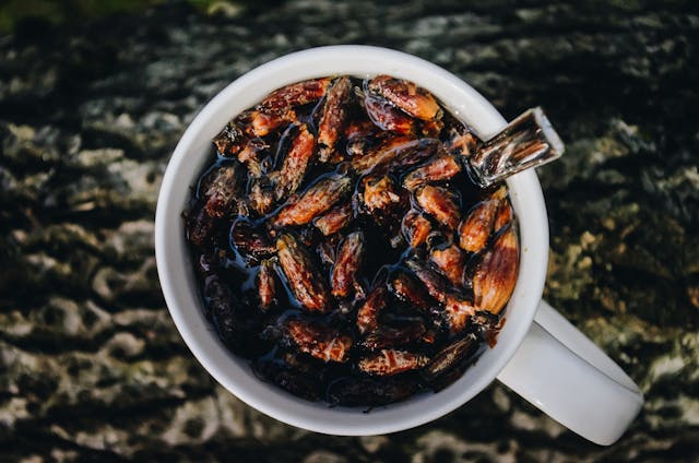 Alternativele viitorului: insectele,